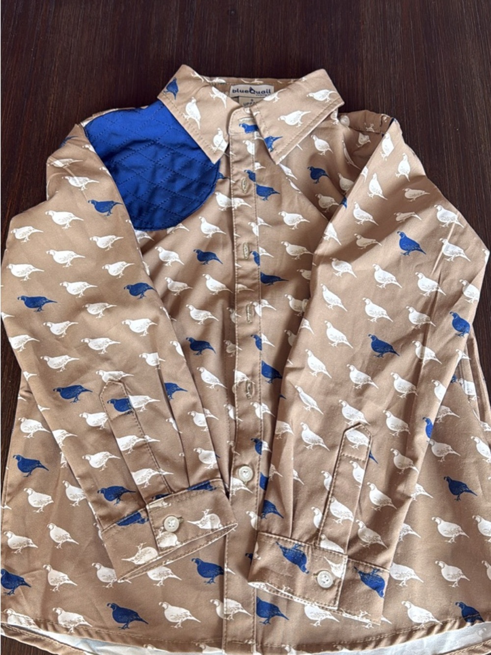 Kids Button-Down Shirt - Brown with Blue & White Bird Print